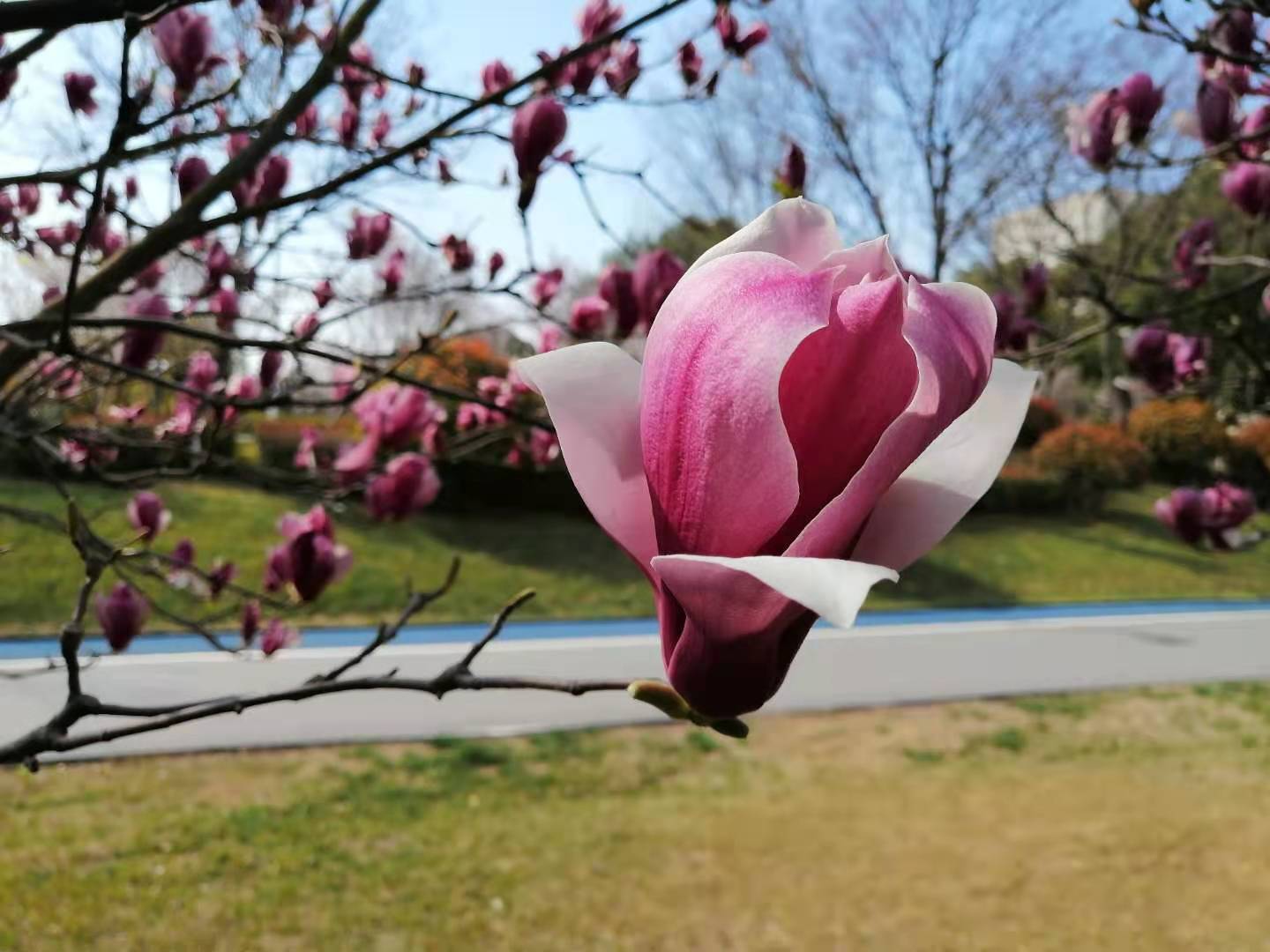 191613695532105893.jpeg 微信圖片_20210219084430.jpg