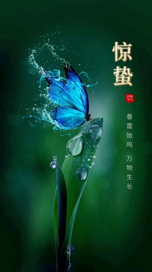 051709598529185515.png image.png