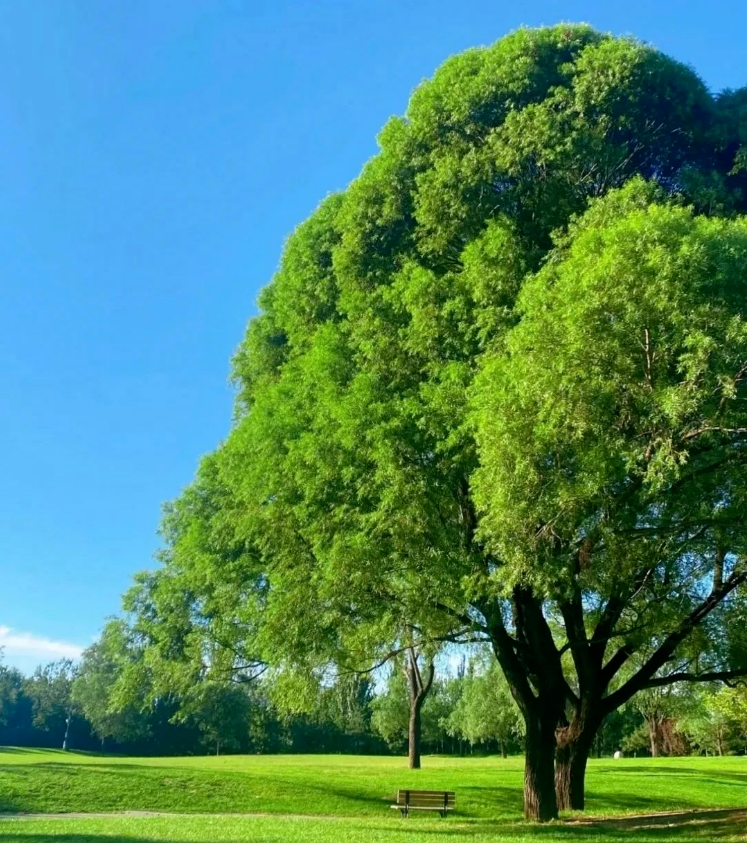 141710384574154997.png image.png