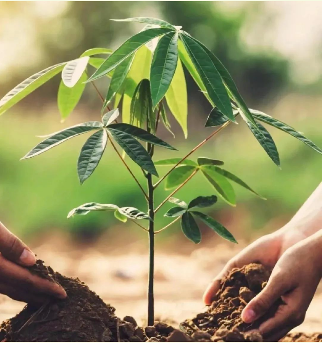 141710384600624663.png image.png